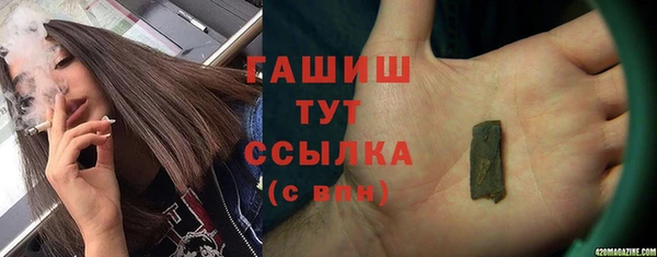 шишки Мегион
