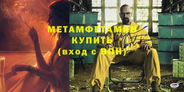 шишки Мегион