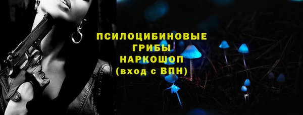 шишки Мегион