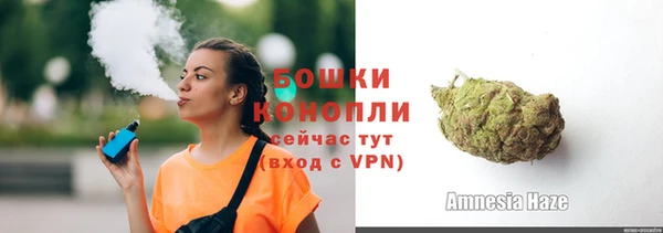 шишки Мегион