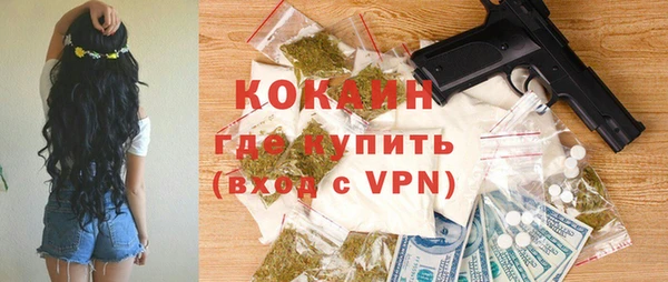 шишки Мегион
