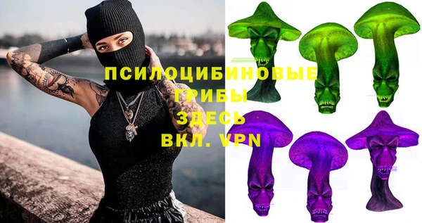 ALPHA PVP Медвежьегорск