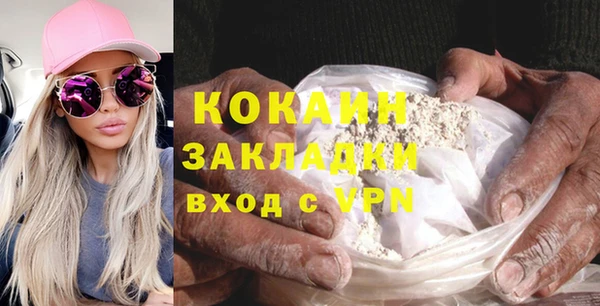 шишки Мегион