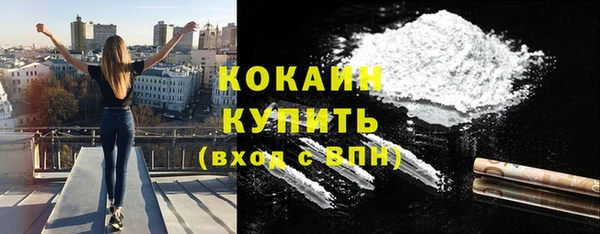 шишки Мегион