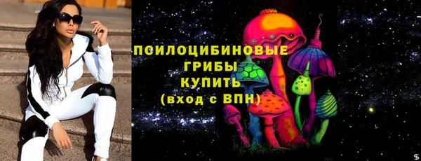 шишки Медногорск