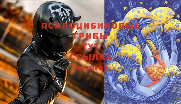 шишки Медногорск