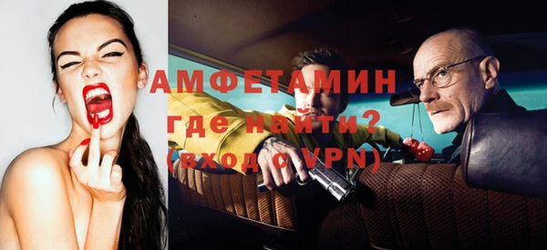 шишки Медногорск