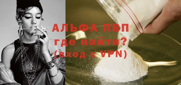шишки Мегион