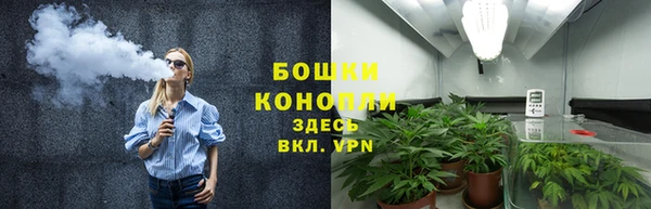 шишки Медногорск