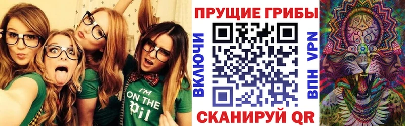 Купить где  Зерноград  Галлюциногенные грибы Cubensis 